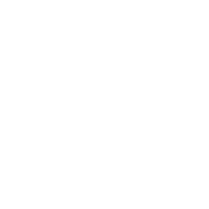 Design icon